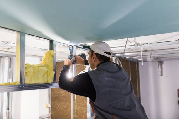 Best Cellulose Insulation in , AR